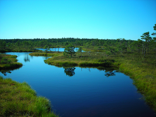 Ķemeri National Park